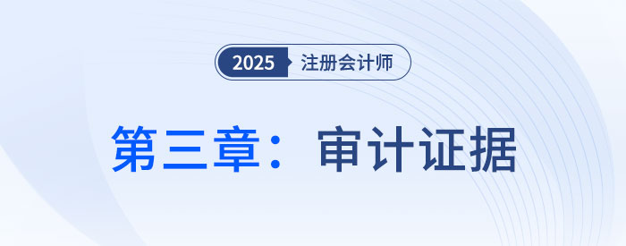第三章審計證據(jù)_2025年注會審計習(xí)題隨章演練
