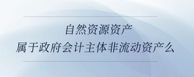 自然資源資產屬于政府會計主體非流動資產么