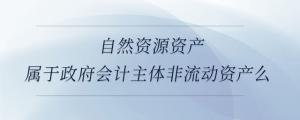 自然資源資產(chǎn)屬于政府會計主體非流動資產(chǎn)么