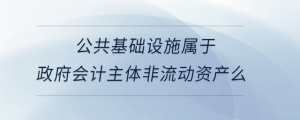 公共基礎(chǔ)設(shè)施屬于政府會計主體非流動資產(chǎn)么
