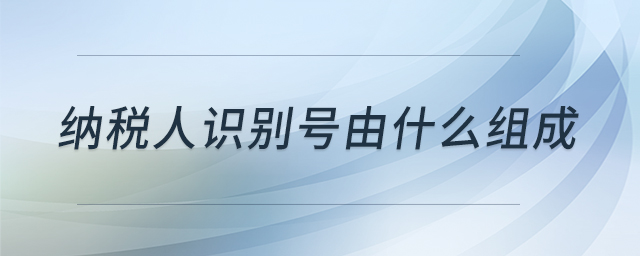 納稅人識(shí)別號(hào)由什么組成