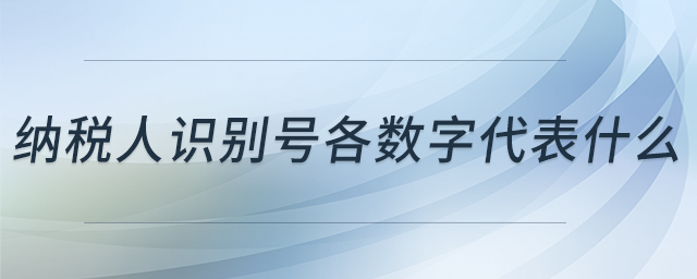 納稅人識別號各數(shù)字代表什么