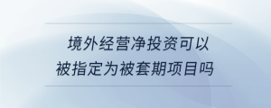 境外經(jīng)營凈投資可以被指定為被套期項目嗎