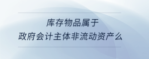 庫存物品屬于政府會計主體非流動資產(chǎn)么