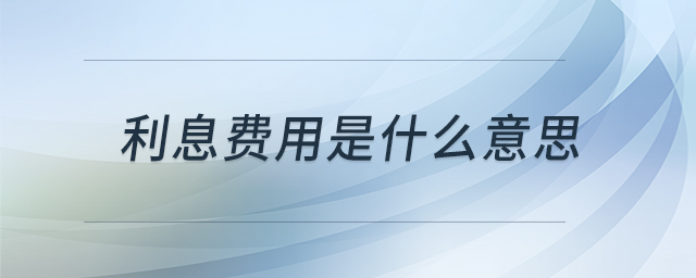 利息費(fèi)用是什么意思