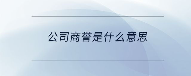 公司商譽(yù)是什么意思