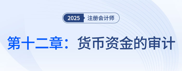 第十二章貨幣資金的審計(jì)_2025年注會審計(jì)思維導(dǎo)圖
