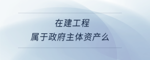  在建工程屬于政府主體資產么