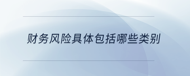 財務(wù)風(fēng)險具體包括哪些類別