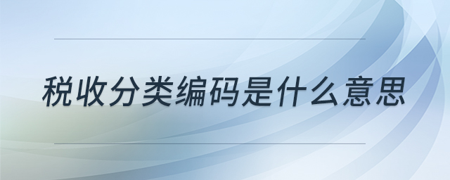 稅收分類(lèi)編碼是什么意思