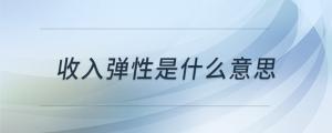 收入彈性是什么意思