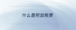 什么是附加稅費(fèi)