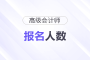 內(nèi)蒙古烏蘭察布2025年高級(jí)會(huì)計(jì)師考試報(bào)名人數(shù)70人