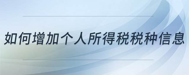 如何增加個人所得稅稅種信息