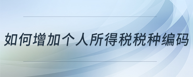 如何增加個人所得稅稅種編碼