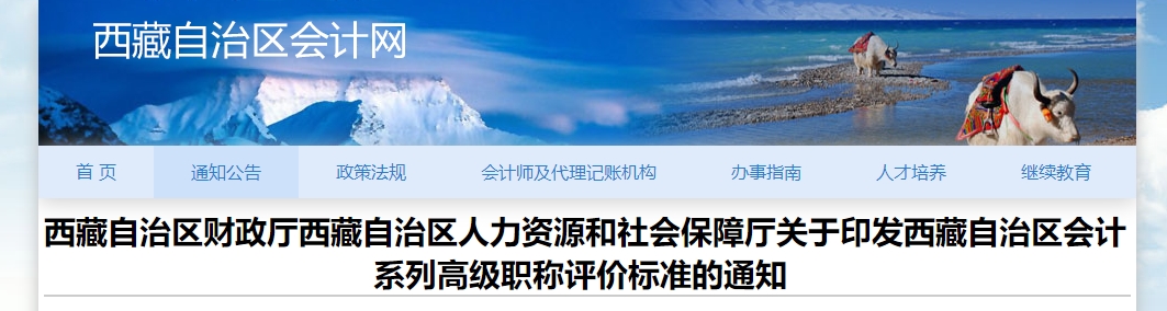 關(guān)于印發(fā)西藏高級(jí)會(huì)計(jì)師職稱評(píng)價(jià)標(biāo)準(zhǔn)的通知