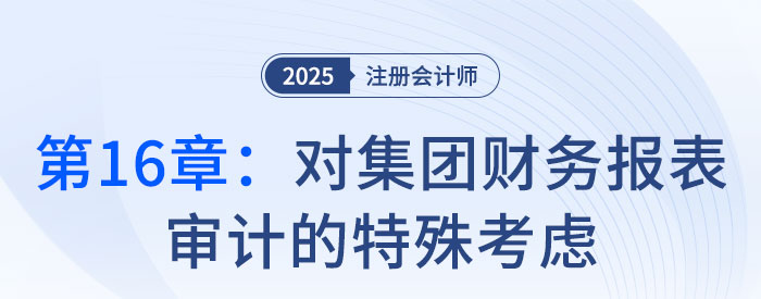 第十六章對集團財務(wù)報表審計的特殊考慮_2025年注會審計習(xí)題隨章演練