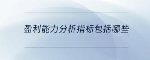 盈利能力分析指標包括哪些