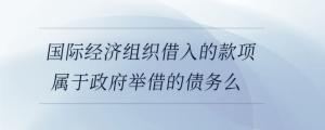 國際經(jīng)濟組織借入的款項屬于政府舉借的債務(wù)么