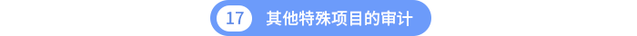 其他特殊項目的審計