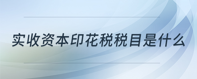 實(shí)收資本印花稅稅目是什么