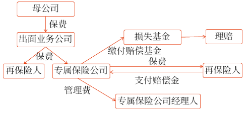 純專(zhuān)業(yè)自保公司的結(jié)構(gòu)