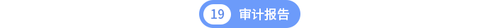 第十九章審計報告