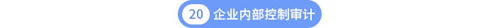 第二十章企業(yè)內(nèi)部控制審計