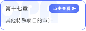 第十七章其他特殊項目的審計