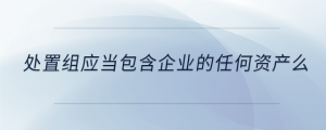 處置組應當包含企業(yè)的任何資產(chǎn)么