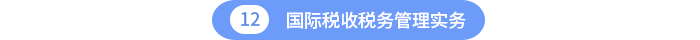 國際稅收稅務(wù)管理實(shí)務(wù)