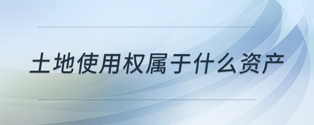 土地使用權(quán)屬于什么資產(chǎn)