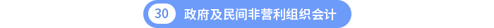 第三十章政府及民間非營(yíng)利組織會(huì)計(jì)