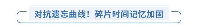 對抗遺忘曲線！碎片時間記憶加固