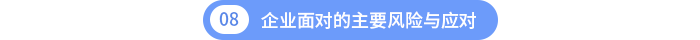 第八章：企業(yè)面對的主要風(fēng)險與應(yīng)對