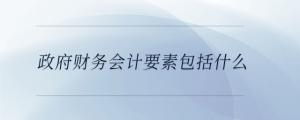 政府財(cái)務(wù)會(huì)計(jì)要素包括什么
