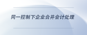 同一控制下企業(yè)合并會(huì)計(jì)處理