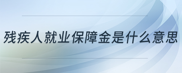 殘疾人就業(yè)保障金是什么意思