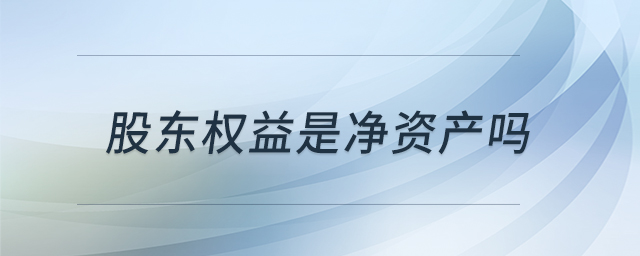 股東權(quán)益是凈資產(chǎn)嗎