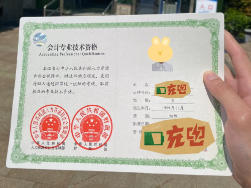 初級會計(jì)師