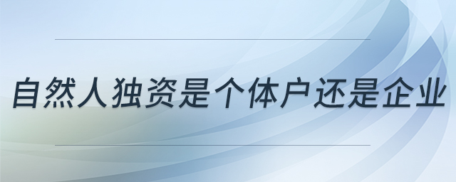 自然人獨資是個體戶還是企業(yè)