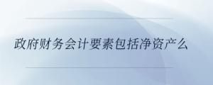 政府財(cái)務(wù)會(huì)計(jì)要素包括凈資產(chǎn)么