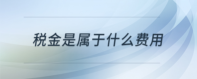 稅金是屬于什么費用