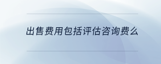 出售費(fèi)用包括評(píng)估咨詢費(fèi)么