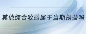 其他綜合收益屬于當期損益嗎