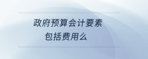 政府預(yù)算會(huì)計(jì)要素包括費(fèi)用么
