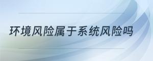 環(huán)境風(fēng)險屬于系統(tǒng)風(fēng)險嗎