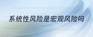 系統(tǒng)性風(fēng)險是宏觀風(fēng)險嗎