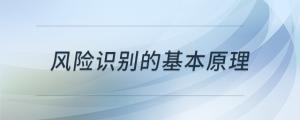 風(fēng)險(xiǎn)識別的基本原理