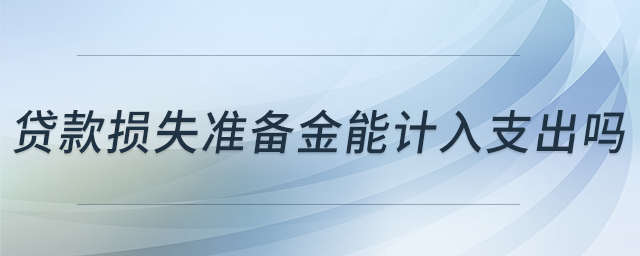 貸款損失準(zhǔn)備金能計(jì)入支出嗎